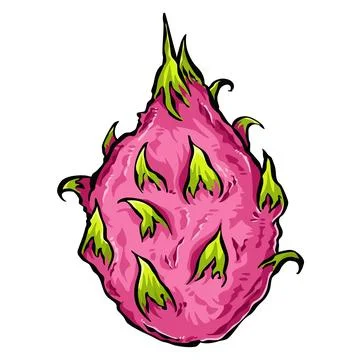 Dragon fruit vector art illustration. 库存插图