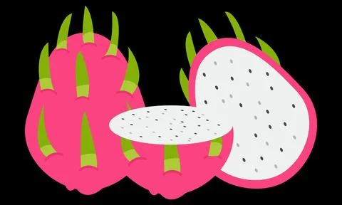 Dragon Fruit Vector Design And Illustration. Stock Illustration