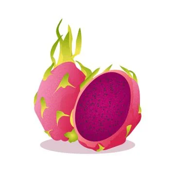 Dragon fruit on a white background in bright colors, made in vector Stock Illustration