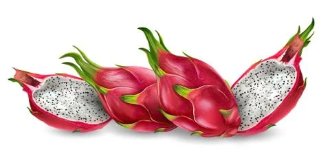 Dragon fruit on white background. 스톡 일러스트