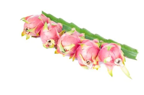 Dragon fruit on a white background. Stock Photos