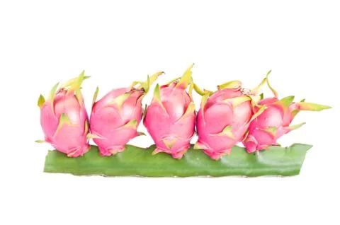 Dragon fruit on a white background. Fotos de archivo