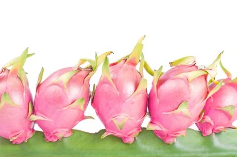 Dragon fruit on a white background. Fotos de archivo