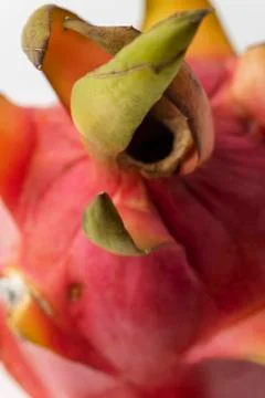Dragon fruit on white background Stock Photos