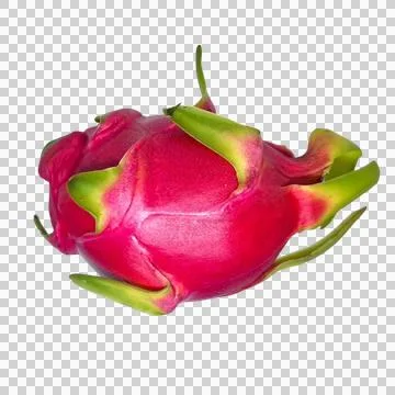 Dragon fruit on white background Stock Photos