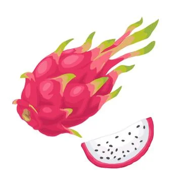 Dragon fruit whole and slice. Vector flat color illustration Stock Illustration