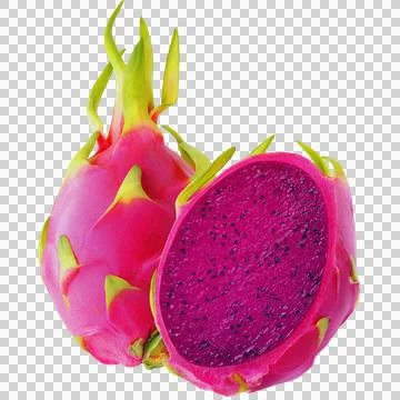 Dragon Fruite Stock Illustration