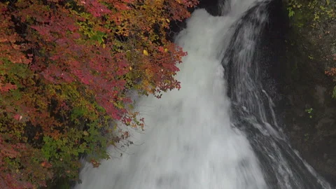 Dragon Head Falls: Autumn 스톡 동영상 330793847