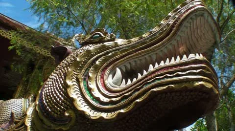 Dragon Head Vídeo Stock 11322130