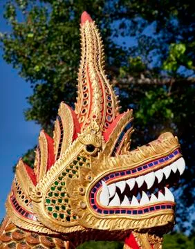 Dragon head Fotos de archivo