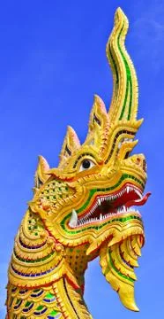 Dragon head Stock Photos
