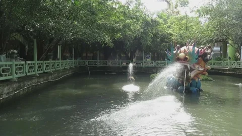 Dragon head shaped fountains Stock Footage 70572309