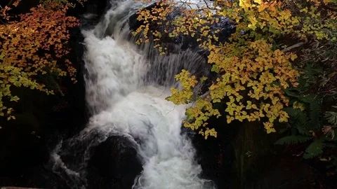 Dragon Head Waterfalls with color of tree leaf Tochigi city Stock Footage 71006855