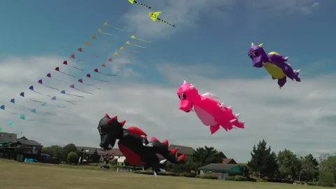 Dragon Kite Triple Stock Footage 168098026