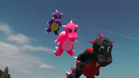 Dragon Kites 3 Stock Footage 167855795