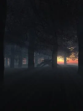 Dragon in a Misty Sunset Forest Illustrazione stock
