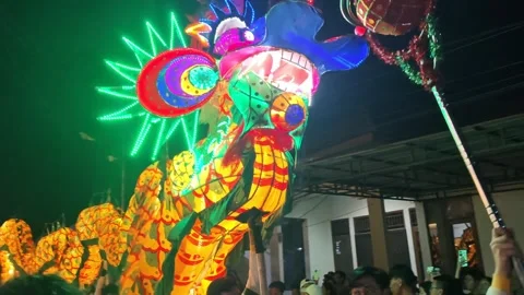 Dragon performance Stock Footage 325403845