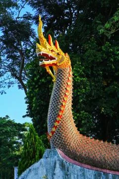 Dragon Foto stock