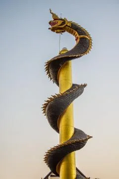 Dragon pillars Stock Photos