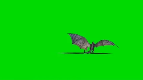 Dragon Roaring on Green Screen 01 Stock Footage 237155835