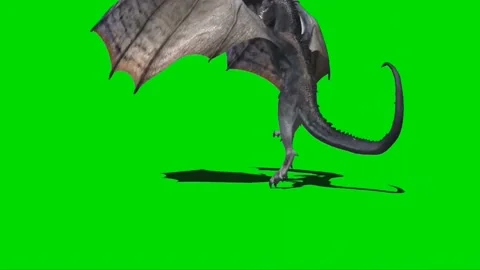 Dragon Roaring on Green Screen 02 Stock Footage 237155842
