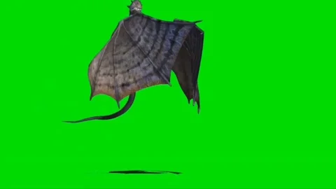 Dragon Roaring on Green Screen 05 Stock Footage 237155869