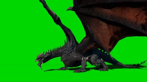 Dragon Roaring on Green Screen 06 Stock Footage 222495397