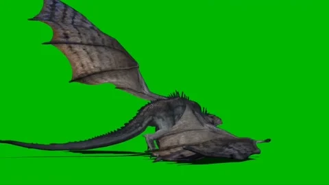 Dragon Roaring on Green Screen 06 Stock Footage 237156042