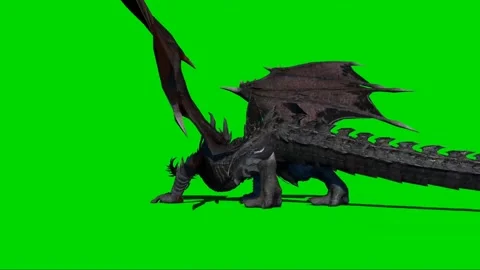 Dragon Roaring on Green Screen 07 Stock Footage 222495411