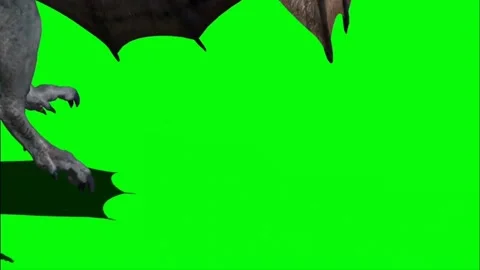 Dragon Roaring on Green Screen 08 Stock Footage 237156101