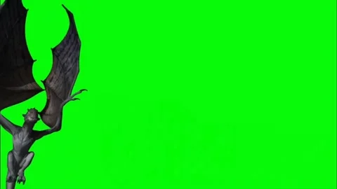 Dragon Roaring on Green Screen 09 Stock Footage 237156117