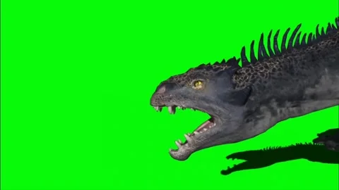 Dragon Roaring on Green Screen 10 Stock-Footage 237156119