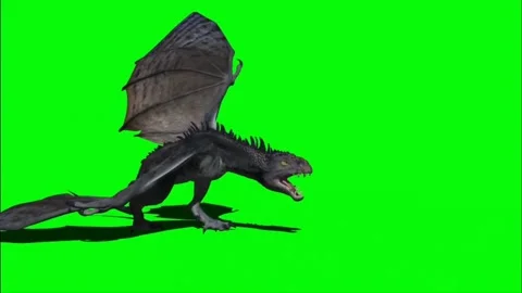 Dragon Roaring on Green Screen 12 Stock Footage 237156129
