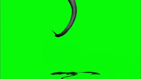 Dragon Roaring on Green Screen 14 Stock Footage 237156198