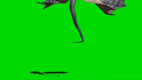 Dragon Roaring on Green Screen Stock Footage 237155834