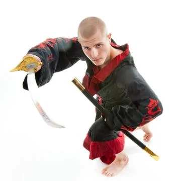 Dragon samurai on white Stock Photos