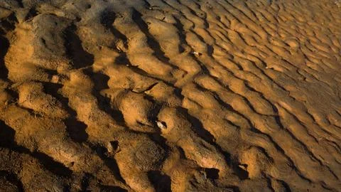 Dragon scales Stock Photos