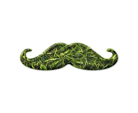 Dragon shape with grass texture isolated on a white background Stock Illustration