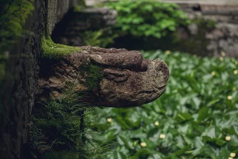 Dragon shape stone Stock Photos