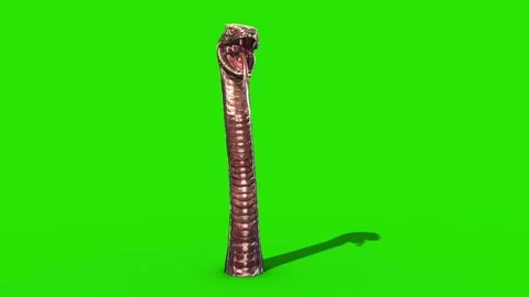 Dragon Snake Green Screen Comes out of the Ground 3D Front Loop Rendering An Stock Footage 162828254