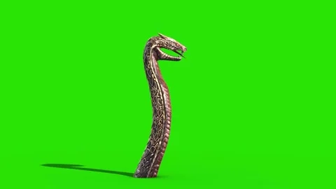 Dragon Snake Green Screen Idle 3D Side Loop Rendering Animation Stock Footage