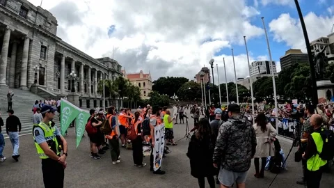 Dragon staff performance Stock Footage 238636256