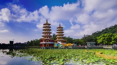 Dragon Tiger Tower Vidéo 71491108