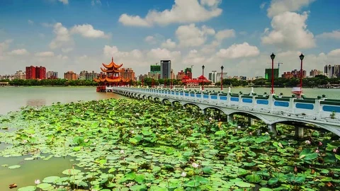 Dragon Tiger Tower Stock-Footage 72667835