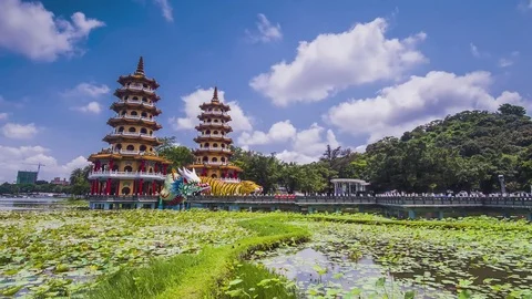 Dragon Tiger Tower 스톡 동영상 72667892