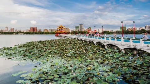 Dragon Tiger Tower Stock Footage 72668055