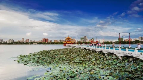 Dragon Tiger Tower Stock Footage 72668072