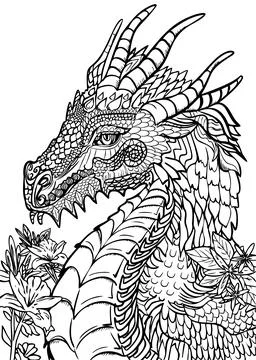 The Dragon vector hand drawing   coloring page Stock Illustration