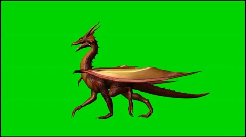 Dragon walk - isolated green screen footage Stockbeeldmateriaal 33643282