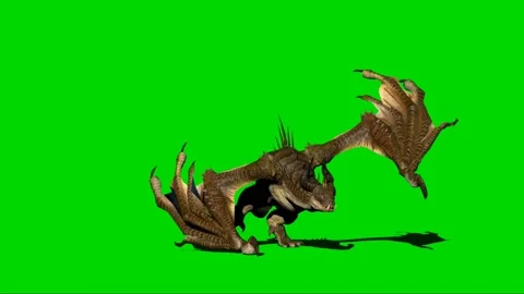 Dragon Walking on Green Screen 02 Stock Footage 222492991